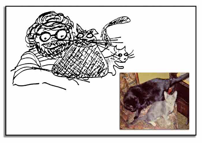 Jerry_Cats_comp